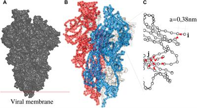 Energy Bilocalization Effect and the Emergence of Molecular Functions in Proteins